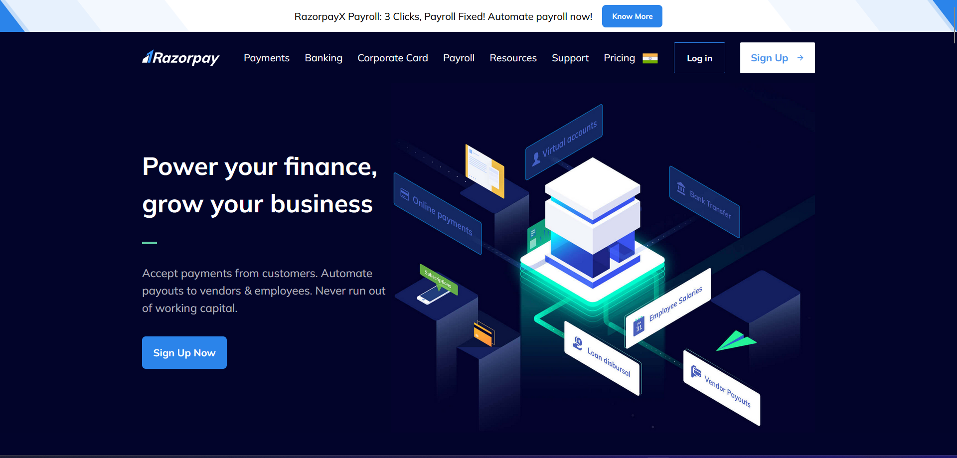 RazorpayClone website preview image